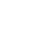 shield-icon